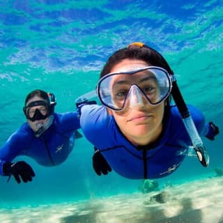 ABC Snorkel Charters Port Douglas Snorkelling max 12 passengers