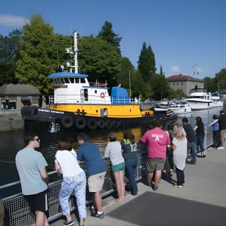 Seattle City and Snoqualmie Falls Half-Day Guided Tour 