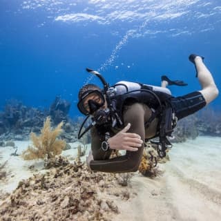 Scuba Diving for Beginners in Fujairah with BBQ Lunch