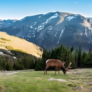 Discover Rocky Mountain National Park from Denver or Boulder