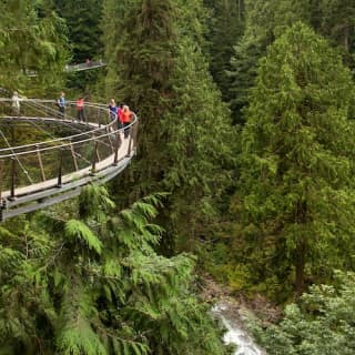 Vancouver Highlights Tour with Vancouver Lookout & Capilano Suspension Bridge