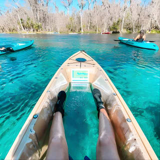 Silver Springs Glass Bottom Kayak Tour!