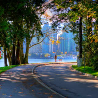 Vancouver Highlights Tour with Vancouver Lookout & Capilano Suspension Bridge