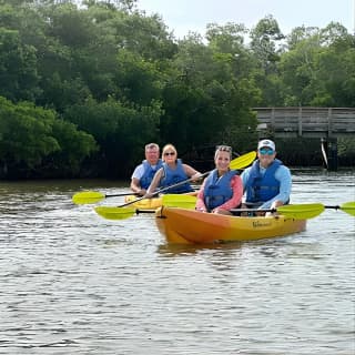 2 Hours Guided Robinson Preserve Mangrove Tour