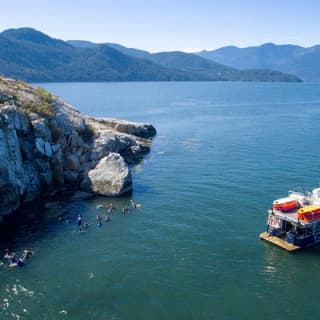 Scuba Dive Boat Charter in Vancouver (Certified Divers Only!)