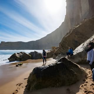 12 Apostles Great Ocean Road Eco Tour with lunch from Melbourne