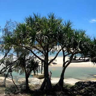 North Stradbroke Island SUNSET Tour