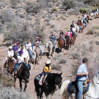 The Maverick Horseback Ride + Breakfast