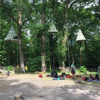 Tree Climbing Taster Session