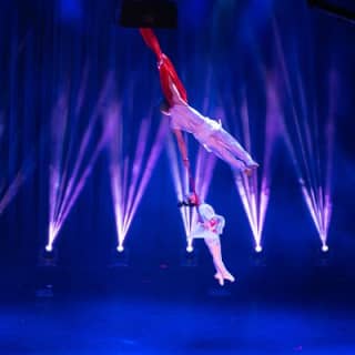 Amazing Acrobats: Grand Shanghai Circus Show in Branson