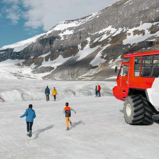 Glacier Adventure: Ice Explorer Glacier Tour and Glacier Skywalk