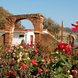 Mission San Luis Rey Museum Admission