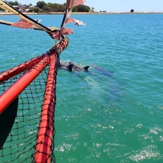 The Pirate Cruise in Mandurah