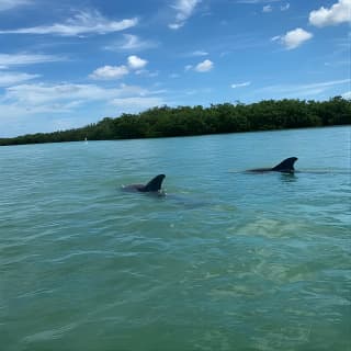 2.5-Hour Guided Group Kayak Tour on Big Hickory Pass