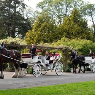 Beacon Hill Park Horse-Drawn Carriage Tour of Victoria