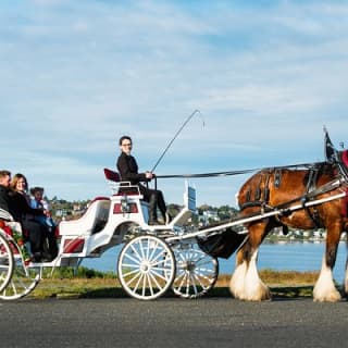 Beacon Hill Park Horse-Drawn Carriage Tour of Victoria