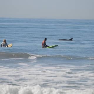 Pismo Beach, California, Surf Lessons