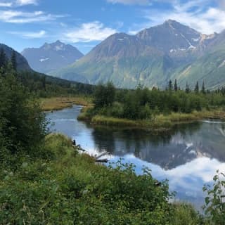 Summer Valley and Forest Hike