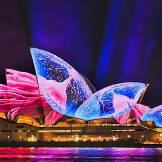 Vivid Sydney Harbour Catamaran Cruise with Canapes