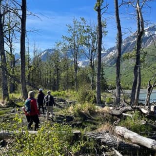 Summer Valley and Forest Hike