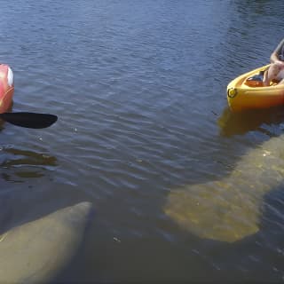 Guided Kayak Eco Tour - Bunche Beach