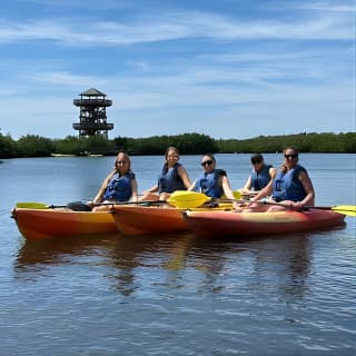 2 Hours Guided Robinson Preserve Mangrove Tour