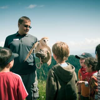 Grouse Mountain: General Admission