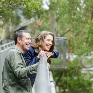 Otway Fly Treetop Walk: Stroll the Magestic Otway Ranges