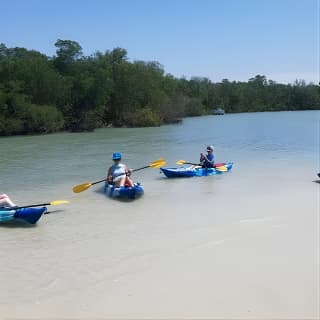 2.5-Hour Guided Group Kayak Tour on Big Hickory Pass