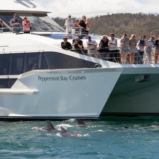 The Peppermint Bay Lunch Cruise from Hobart