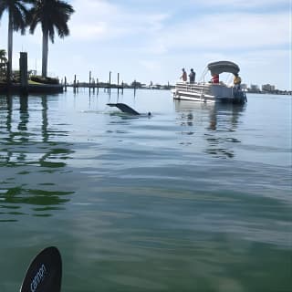 Guided Kayak Eco Tour - Bunche Beach