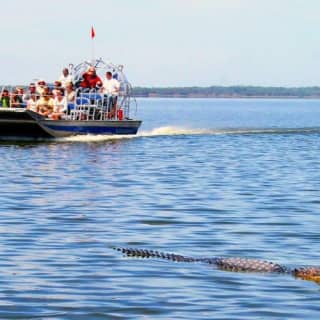 Everglades Airboat & Wildlife Show & Roundtrip Transport from Miami