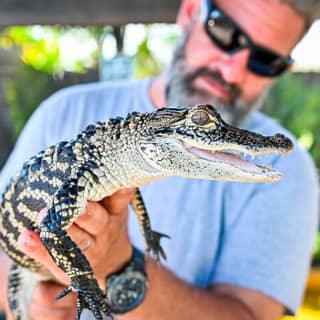 Everglades Admission Ticket with Airboat Ride and Wildlife Show 2023 - Fort  Lauderdale