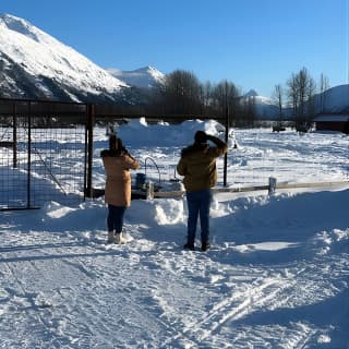 Ultimate Anchorage Winter Wildlife & Sunset Tour