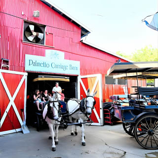 Daytime Horse-Drawn Carriage Sightseeing Tour of Historic Charleston