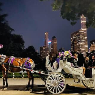 MOONLIGHT RIDE Central Park with Photo (45 min) ~ Skip the line