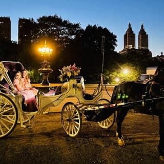 MOONLIGHT RIDE Central Park with Photo (45 min) ~ Skip the line