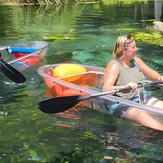 Clear Kayak or Paddleboard Manatee Adventure