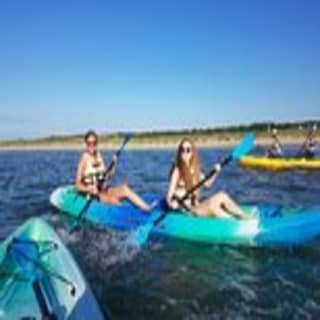 Sunset Dolphin Kayak Tours