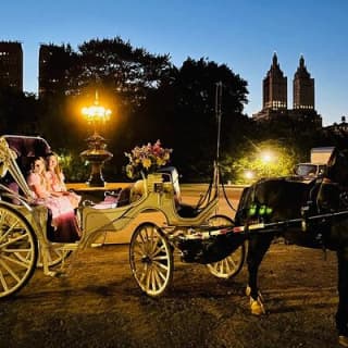 MOONLIGHT RIDE Central Park with Photo (45 min) ~ Skip the line