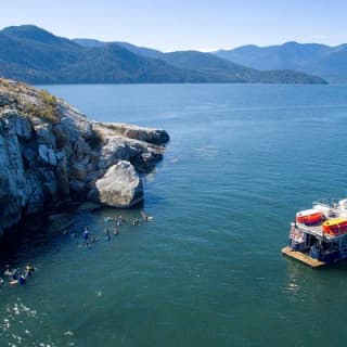 Snorkel, Kayak, and Seal Adventure: Vancouver Boat Tour
