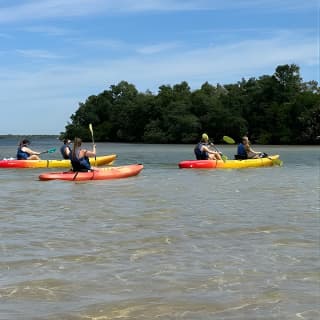 2 Hours Guided Robinson Preserve Mangrove Tour