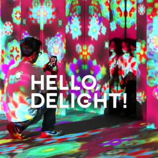 ﻿¡Hello, Delight! - A Korean Media Art Exhibition