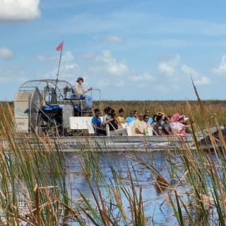 Everglades: 30-Minute Airboat Tour, Wildlife Show & Transportation from Miami