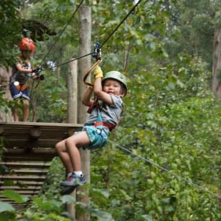 Treetops Adventure: Belgrave Park