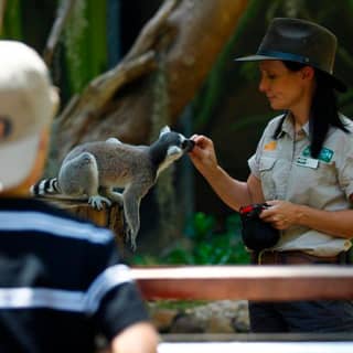 Currumbin Wildlife Sanctuary General Entry Ticket