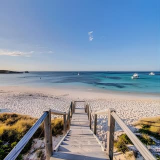Discover Rottnest with Ferry & Bus Tour