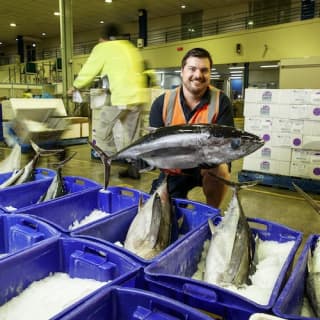 Sydney Fish Market: Behind-the-Scenes Auction Floor Tour