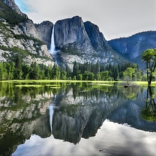 Yosemite and Giant Sequoias Day Tour