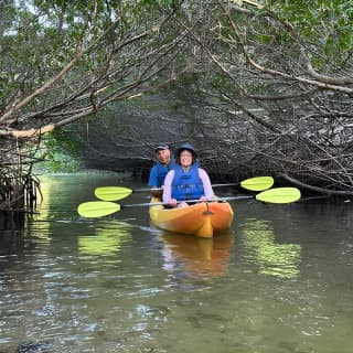 2 Hours Guided Robinson Preserve Mangrove Tour